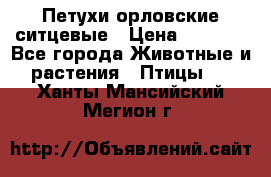 Петухи орловские ситцевые › Цена ­ 1 000 - Все города Животные и растения » Птицы   . Ханты-Мансийский,Мегион г.